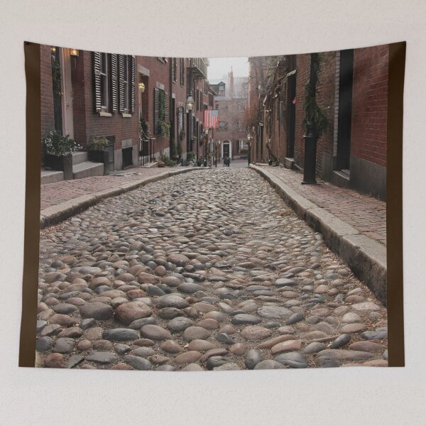 Item preview, Acorn Street designed and sold by Autumn Seas Photography.