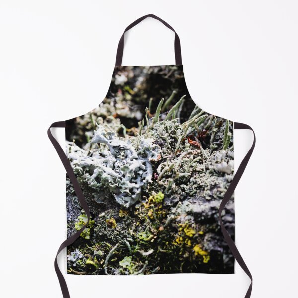 Artikelvorschau, Foliose Flechtenbeschaffenheit auf dem Baum. Sehr detaillierter Pilz und Moos im Wald im Freien. entworfen und verkauft von FENIO.