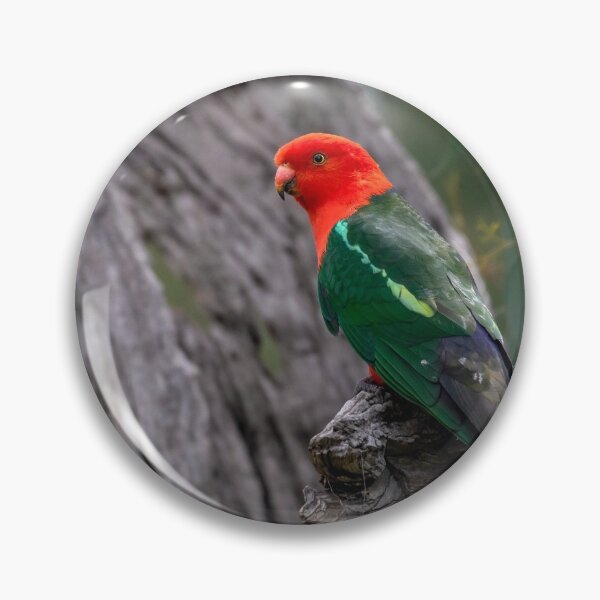 Item preview, Australian King Parrot designed and sold by Luke Foster.
