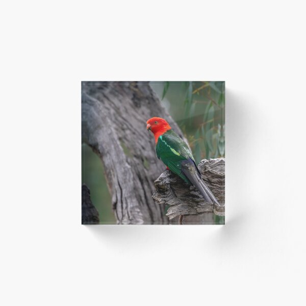 Item preview, Australian King Parrot designed and sold by Luke Foster.