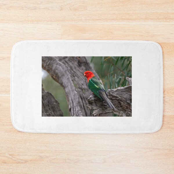 Item preview, Australian King Parrot designed and sold by Luke Foster.