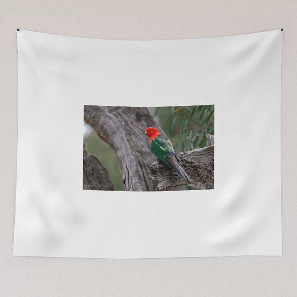Item preview, Australian King Parrot designed and sold by Luke Foster.