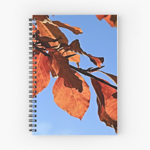 Item preview, Autumn Leaves on a sunny day designed and sold by SuzanneRead.