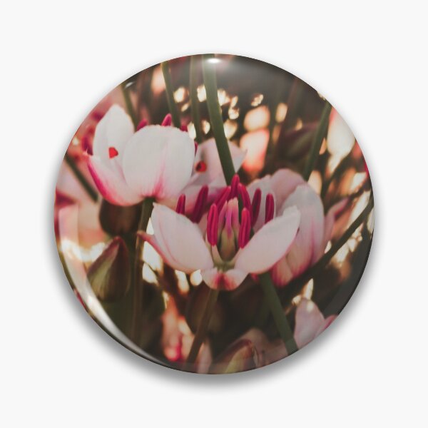 Item preview, Summer flowering rush blossoms close-up. Swamp or river wild flower Butomus umbellatus close-up. Beautiful river flowers in natural light and background. designed and sold by FENIO.