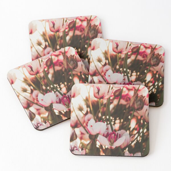 Item preview, Summer flowering rush blossoms close-up. Swamp or river wild flower Butomus umbellatus close-up. Beautiful river flowers in natural light and background. designed and sold by FENIO.