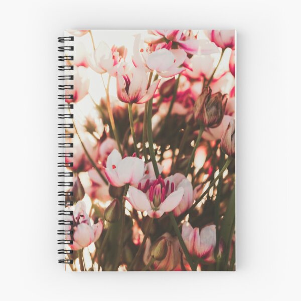 Item preview, Summer flowering rush blossoms close-up. Swamp or river wild flower Butomus umbellatus close-up. Beautiful river flowers in natural light and background. designed and sold by FENIO.