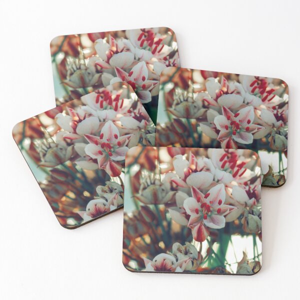 Item preview, Summer flowering rush blossoms close-up.  designed and sold by FENIO.