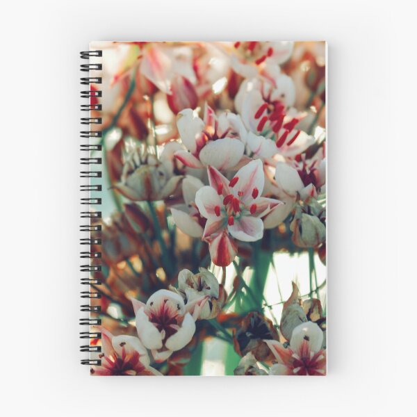 Item preview, Summer flowering rush blossoms close-up. designed and sold by FENIO.