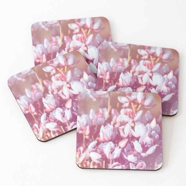 Item preview, Summer flowering rush blossoms close-up.  designed and sold by FENIO.