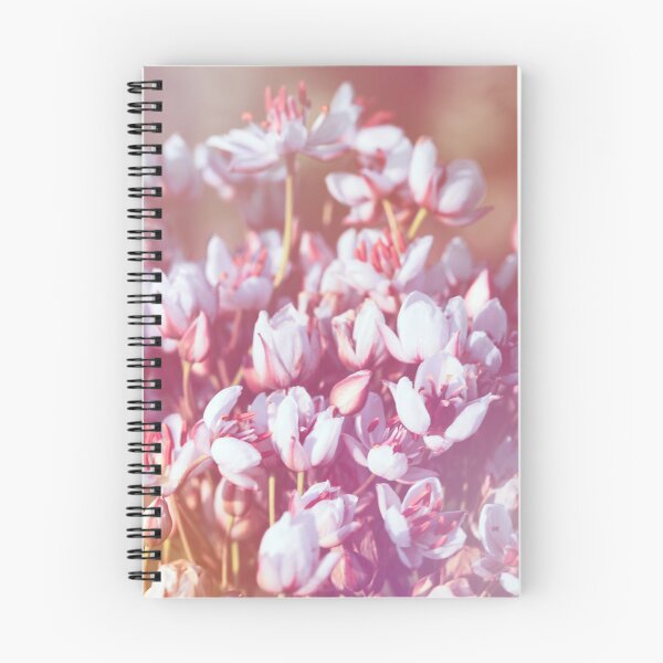 Item preview, Summer flowering rush blossoms close-up. designed and sold by FENIO.