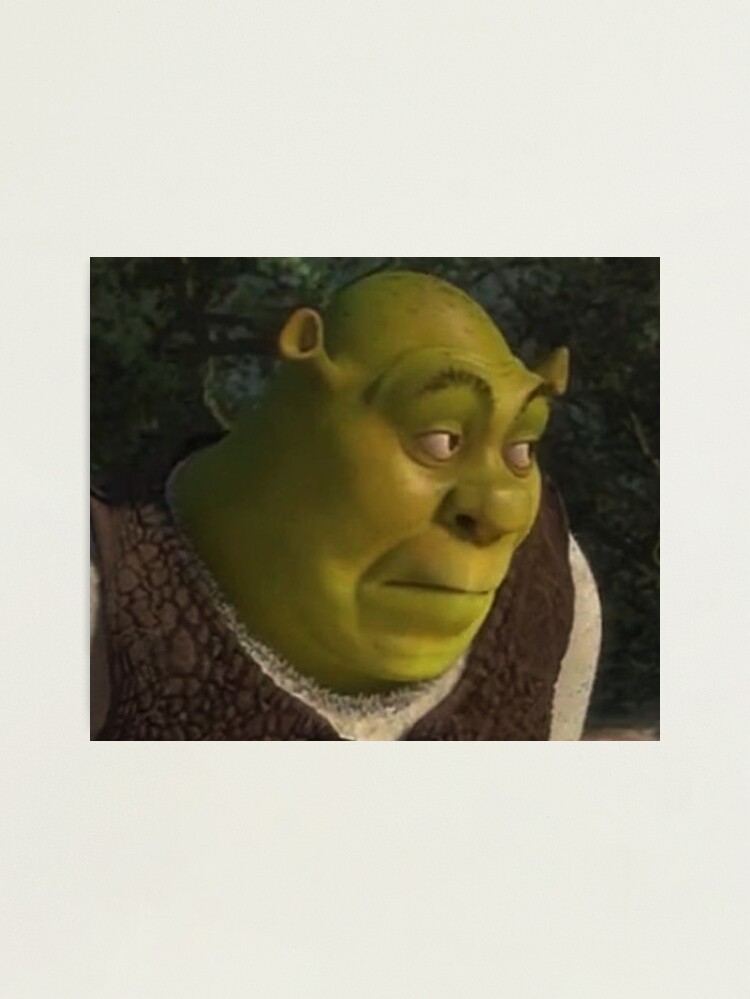 Shrek 1 - Shrek Surprised | Photographic Print