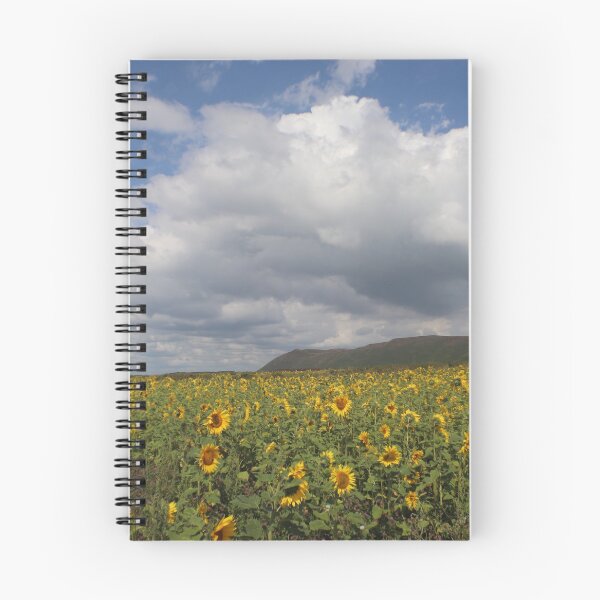 Item preview, field of dreams designed and sold by Digitaldegs.