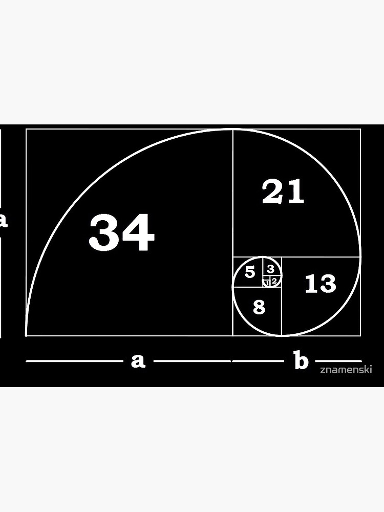 #Golden #Ratio #GoldenRatio #Design Ideas Fibonacci Spiral = 1.6180339887498948420 by znamenski