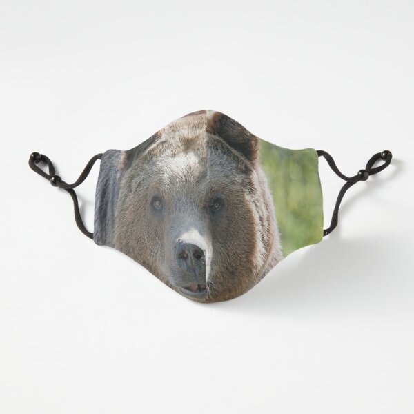 Fitted Masks, Bear, bear's face, forest bear, terrible bear, bear-to-beard Fitted 3-Layer