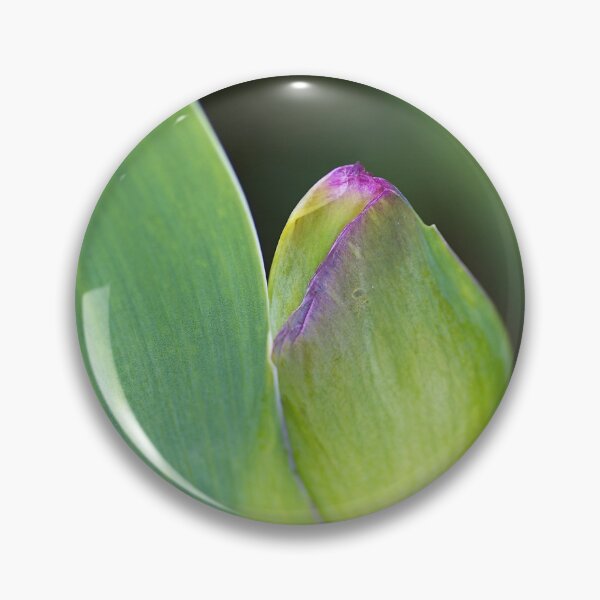 Item preview, Iris Bud Has Pink Markings designed and sold by Joy Watson - Natural Light Photography .