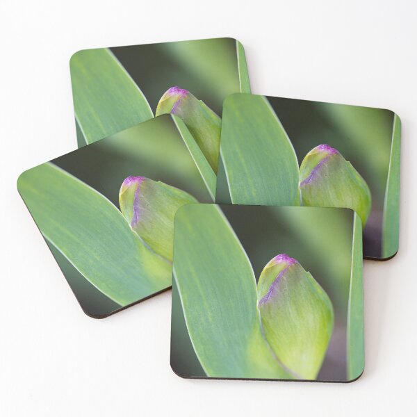 Item preview, Iris Bud Has Pink Markings designed and sold by Joy Watson - Natural Light Photography .