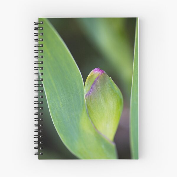 Item preview, Iris Bud Has Pink Markings designed and sold by Joy Watson - Natural Light Photography .