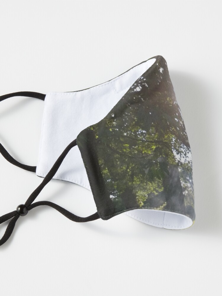 Alternate view of M.I. #11 |☼| Smoky Tree Sun Rays - Landscape Shot (Pearson Park) Mask