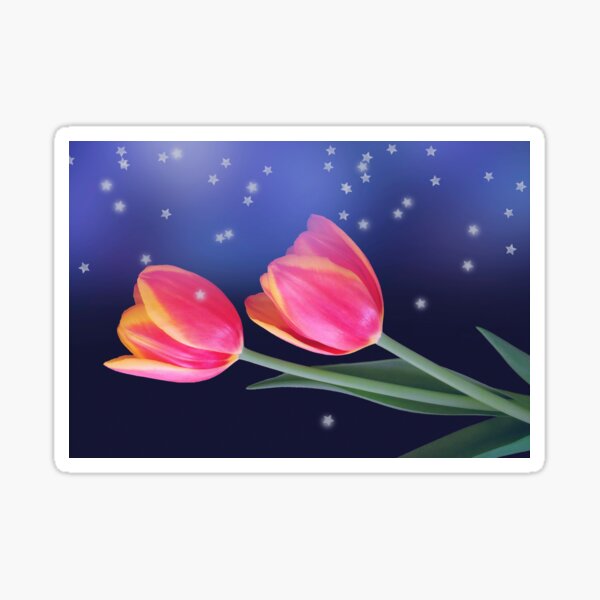 Tulips And Stars Sticker