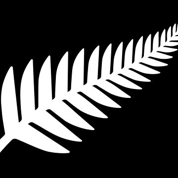 Artwork thumbnail, Silver Fern on Black by Kyle Lockwood by SilverFernFlag