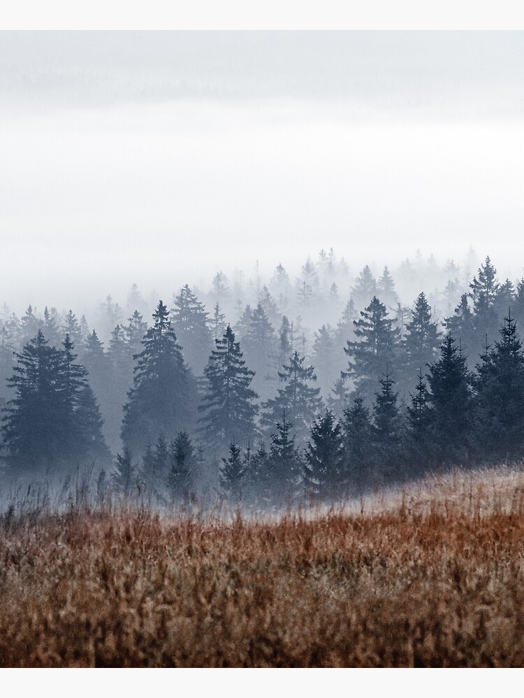 Thumbnail 6 of 6, Apron, Lost In Fog // Misty Morning Landscape Autumn Wilderness Forest Waves With Cascadia Trees Covered In Fog designed and sold by tekay.
