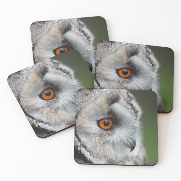Item preview, long eared owl designed and sold by alan tunnicliffe.