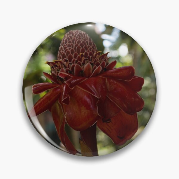 Item preview, Glossy Jewel in the Jungle - Red Torch Ginger Lily designed and sold by Georgia Mizuleva.