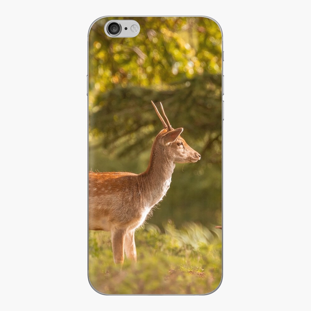 Item preview, iPhone Skin designed and sold by AYatesPhoto.