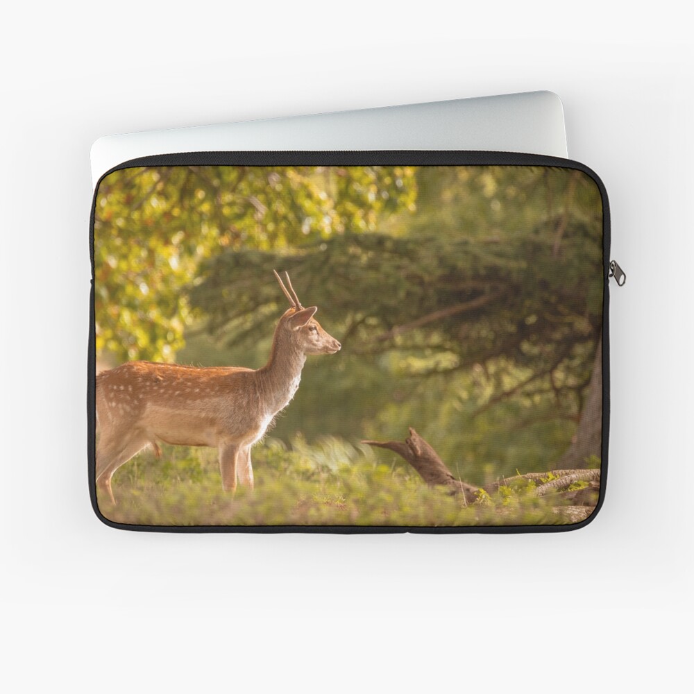 Item preview, Laptop Sleeve designed and sold by AYatesPhoto.