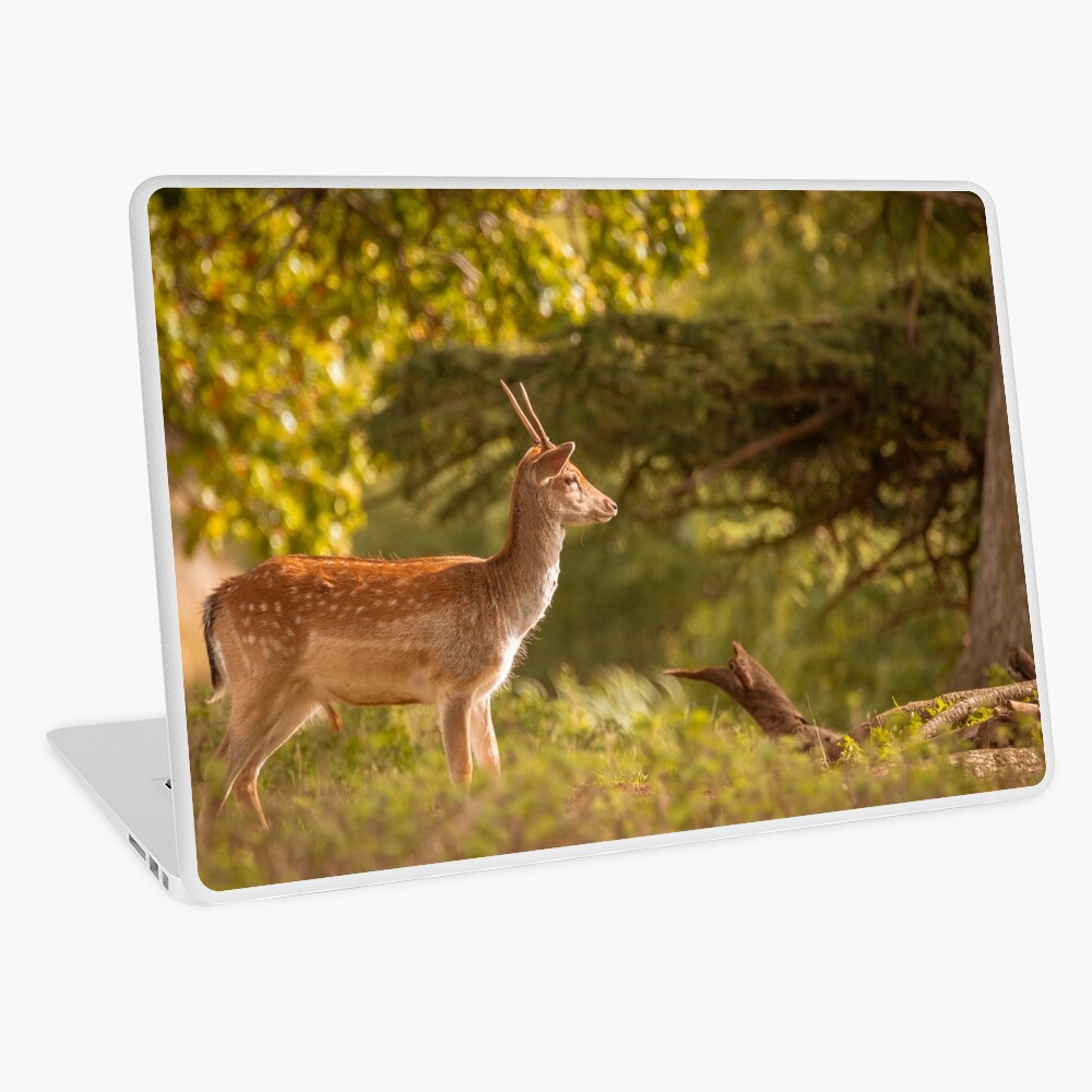Item preview, Laptop Skin designed and sold by AYatesPhoto.