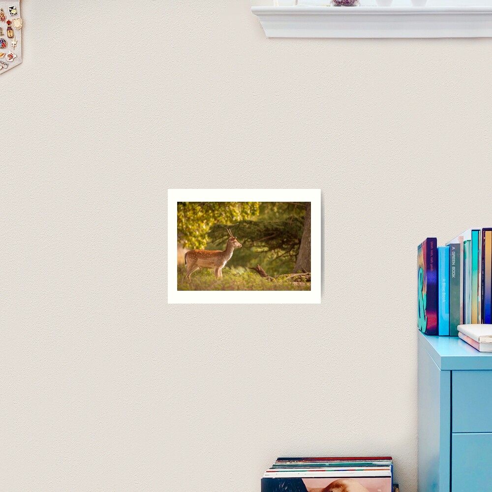 Item preview, Art Print designed and sold by AYatesPhoto.