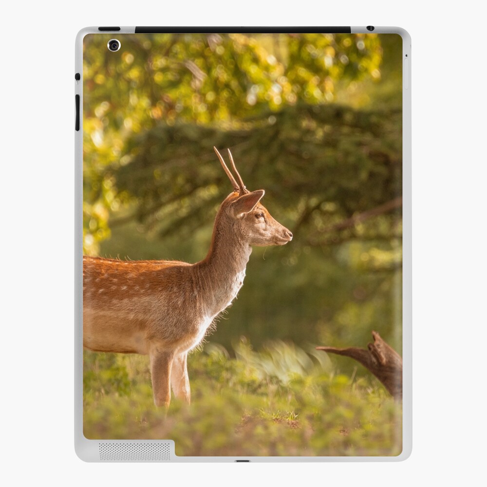 Item preview, iPad Skin designed and sold by AYatesPhoto.