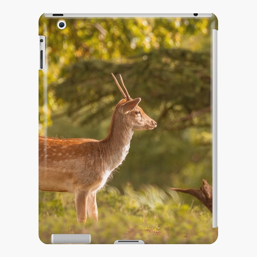 Item preview, iPad Snap Case designed and sold by AYatesPhoto.