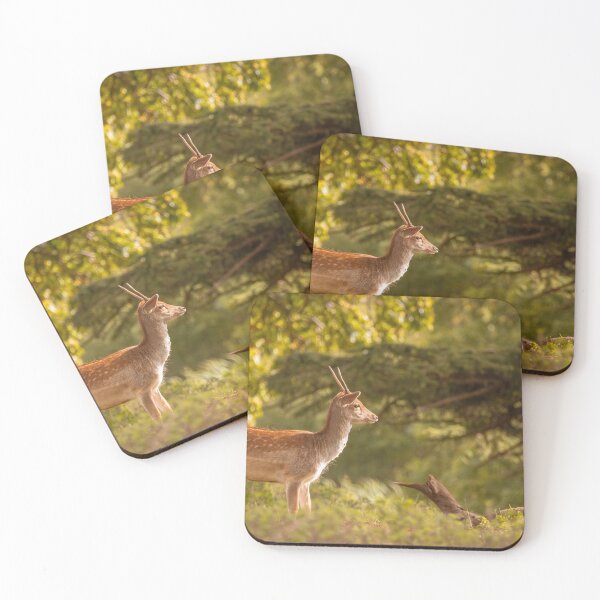 Item preview, Deer in autumn light designed and sold by AYatesPhoto.