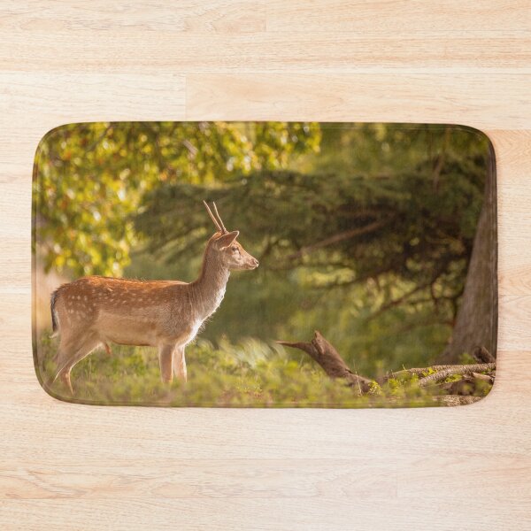 Item preview, Deer in autumn light designed and sold by AYatesPhoto.