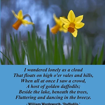 Artwork thumbnail, William Wordsworth Daffodils by DesignsofNote