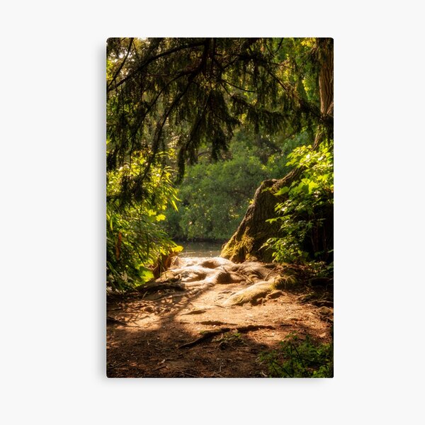 Item preview, Magical Woods. designed and sold by AstralRosePhotos.