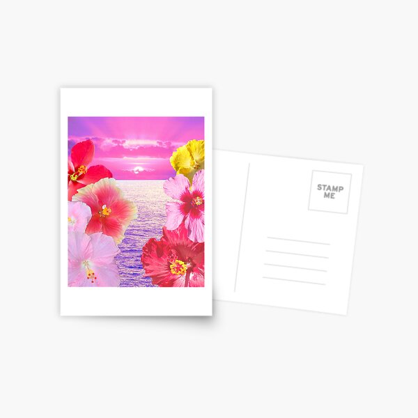 Hibiscus Sunrise Postcard