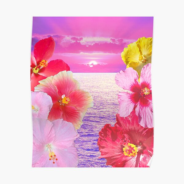 Hibiscus Sunrise Poster