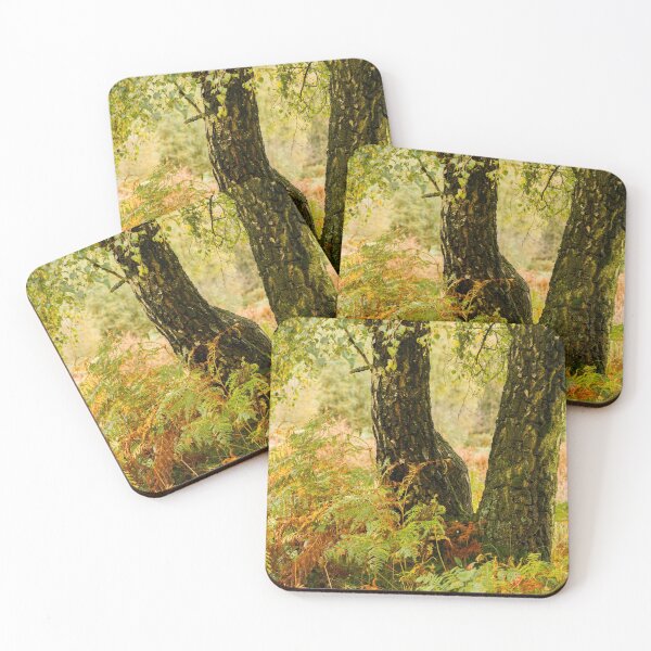 Item preview, Signs of Autumn designed and sold by Jane Stanley Photography.
