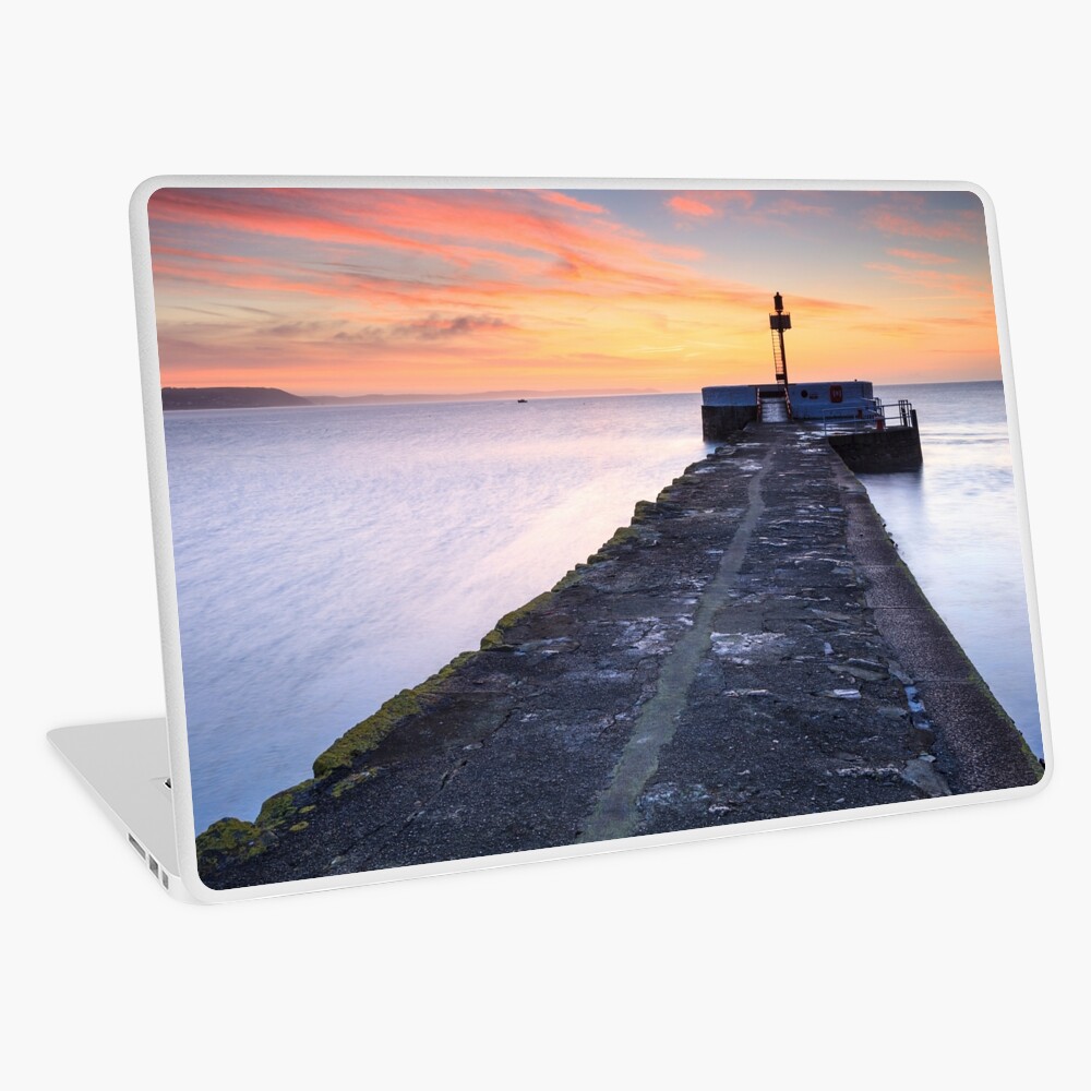 Item preview, Laptop Skin designed and sold by bitm2007.