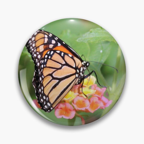 Item preview, Monarch Butterfly 6 designed and sold by Susie Kramer.
