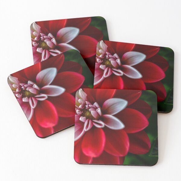 Item preview, Red & White designed and sold by DonnaMariePhoto.
