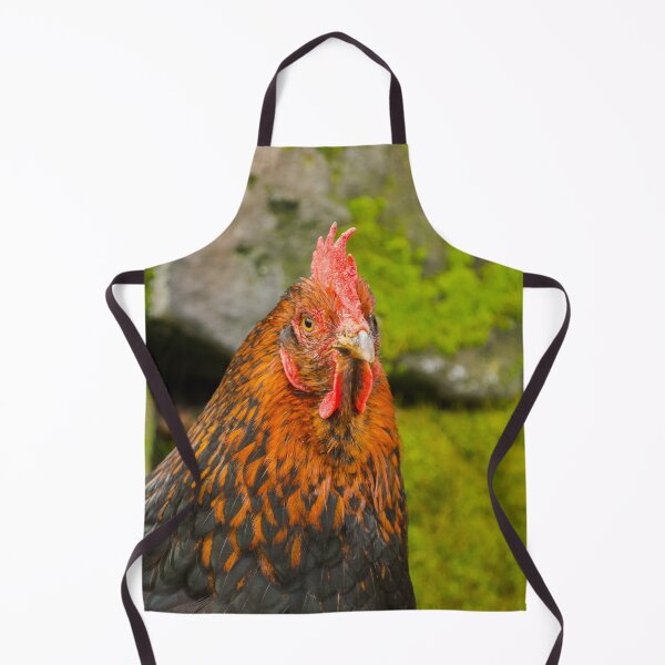Item preview, Cockeral Portrait designed and sold by Jane Stanley Photography.