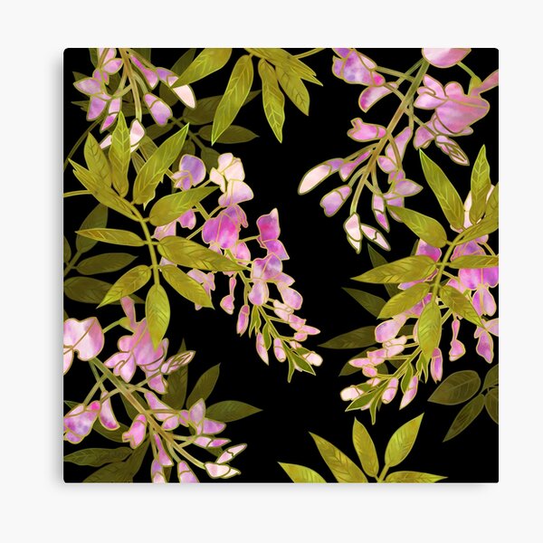 Pink Wisteria Blossom Canvas Print
