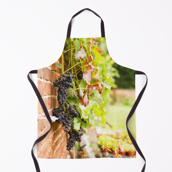 Item preview, Grape Vine in Walled Garden designed and sold by Jane Stanley Photography.