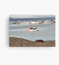 Aún todo duerme alrededor......................... Canvas Print