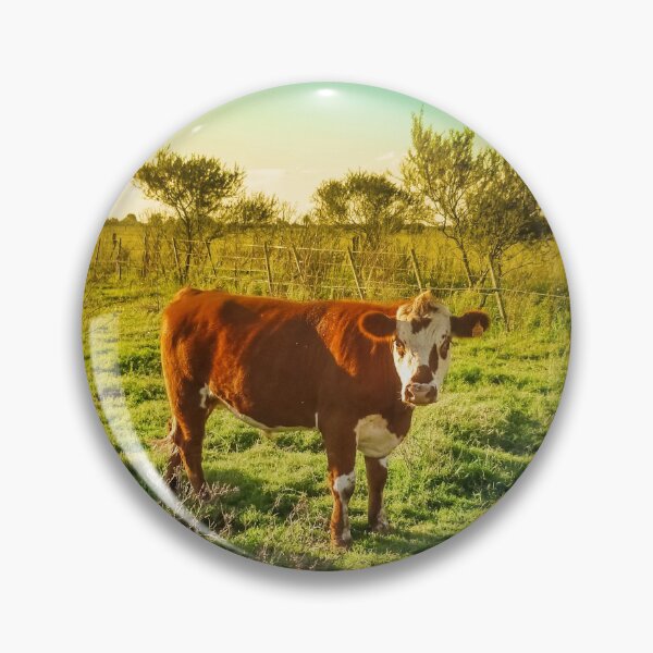 Item preview, Lonely Cow in the Meadow Facing the Camera designed and sold by DFLC Prints.