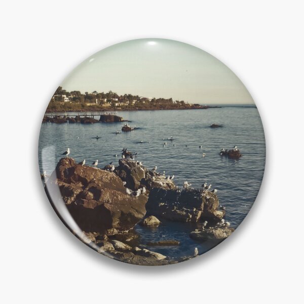 Item preview, Rocks ans Seagulls in the Coast of Piriapolis designed and sold by DFLC Prints.
