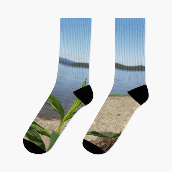 Item preview, plant & lake designed and sold by darikamc.
